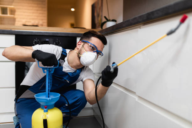 Best Pest Prevention Services  in Lumber City, GA