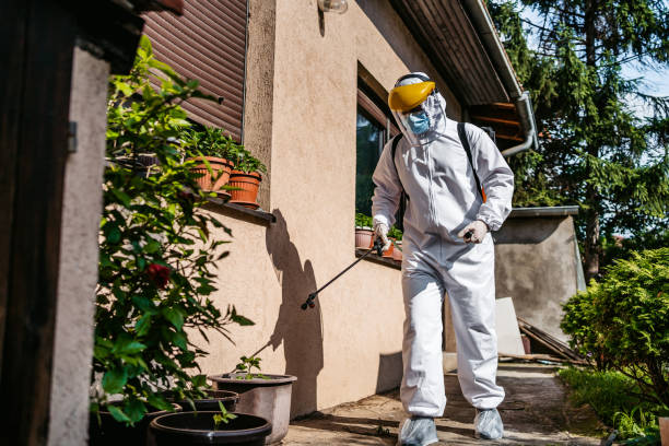 Best Mosquito Control Services  in Lumber City, GA