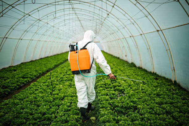 Best Affordable Pest Control Services  in Lumber City, GA
