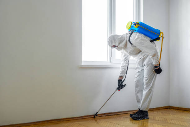 Best Affordable Pest Control Services  in Lumber City, GA