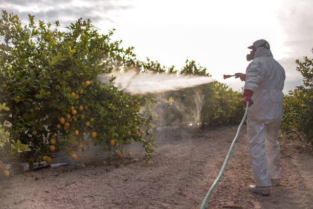 Best Residential Pest Control  in Lumber City, GA